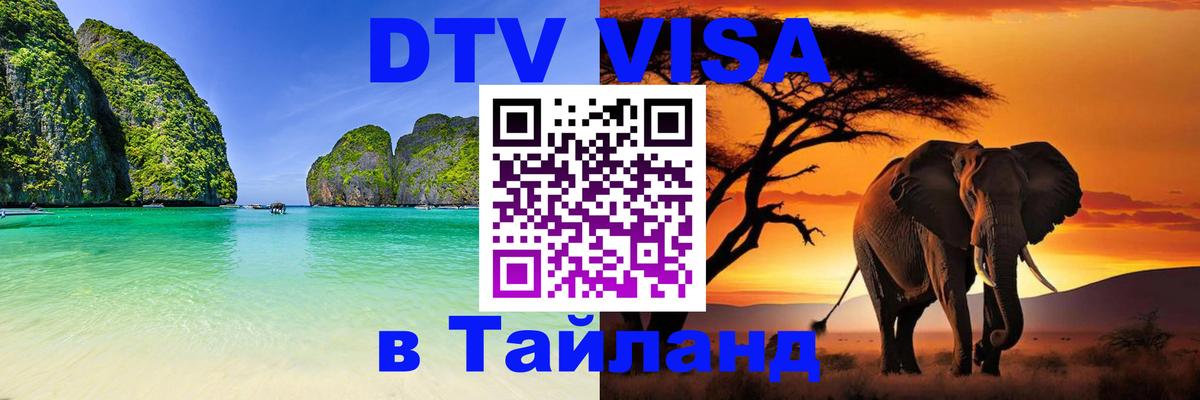 Оформление DTV визы под ключ: стоимость и тарифы, только загранпаспорт - 